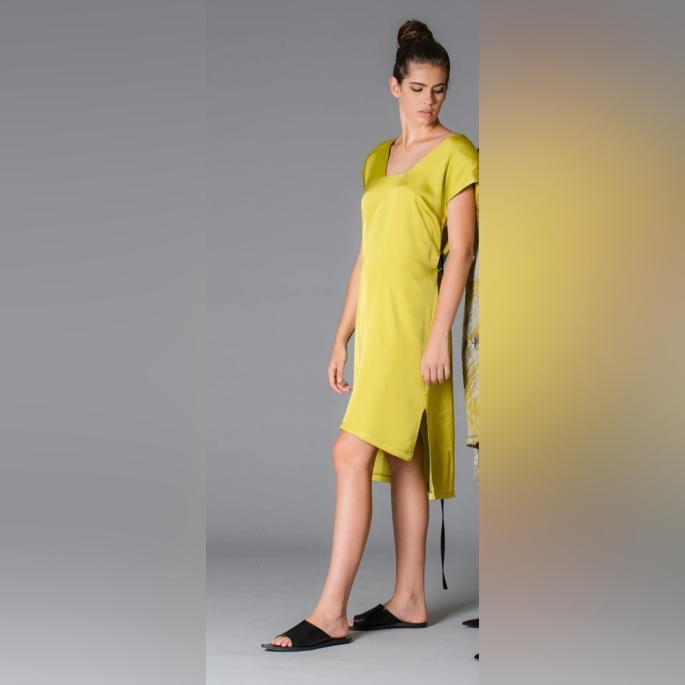 Lotus Eaters | Z2 Zumic Dress